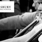 Salisbury Symphony Orchestra Concert