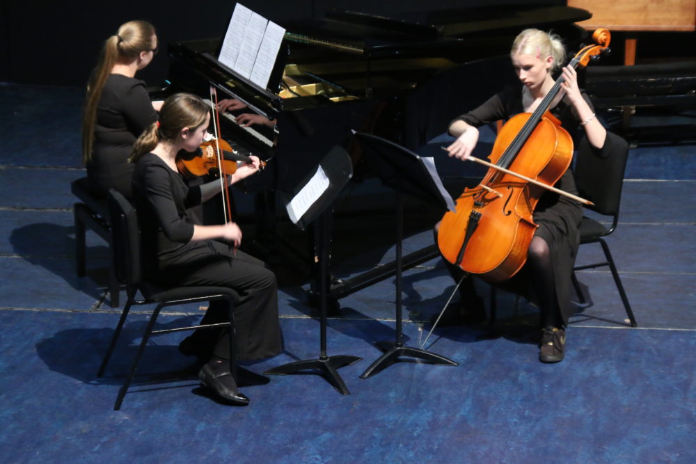 Pro Corda Chamber Music Festival