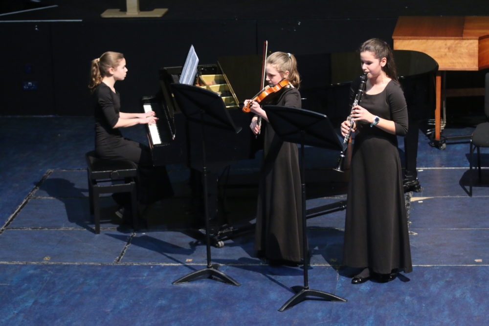 Pro Corda Chamber Music Festival