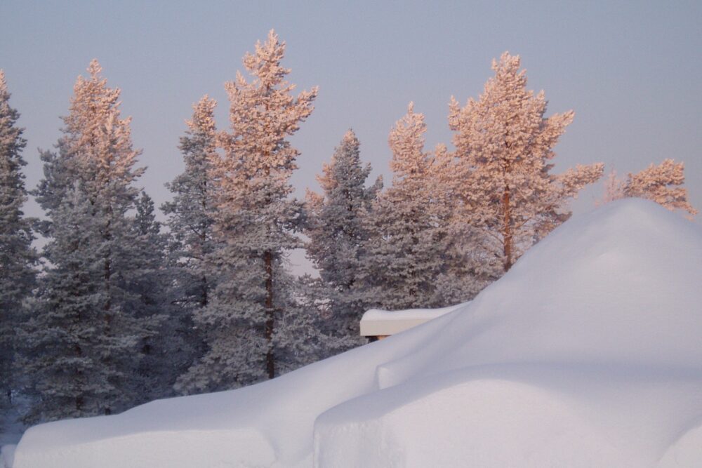 To everything there is a season (Ecclesiastes)