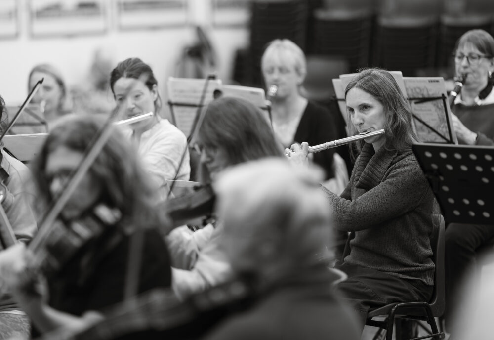 Salisbury Symphony Orchestra concert